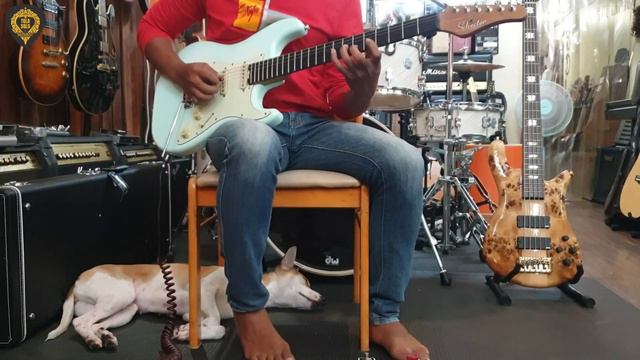 schecter nick johnson Guitar Demo By TOLA SOLO смотреть онлайн