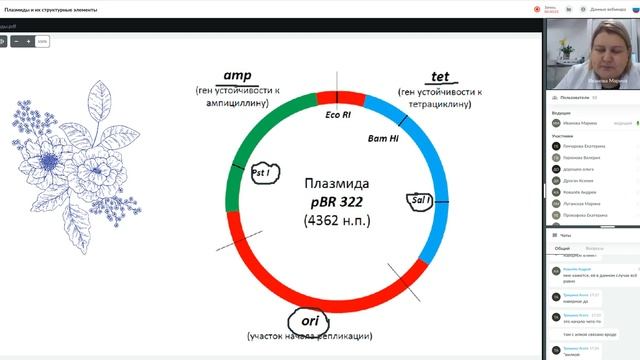 25 26 Плазмиды и их структурные элементы смотреть онлайн
