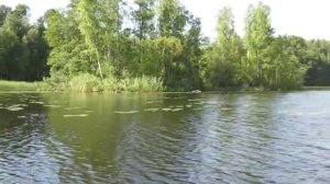 лодочный мотор 48 вольт