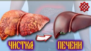 Когда пора чистить печень_  Чистка печени народными средствами.mp4