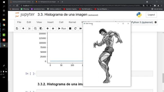 3.3. Aprendiendo OpenCV con Python - Histograma de una imagen. смотреть онлайн