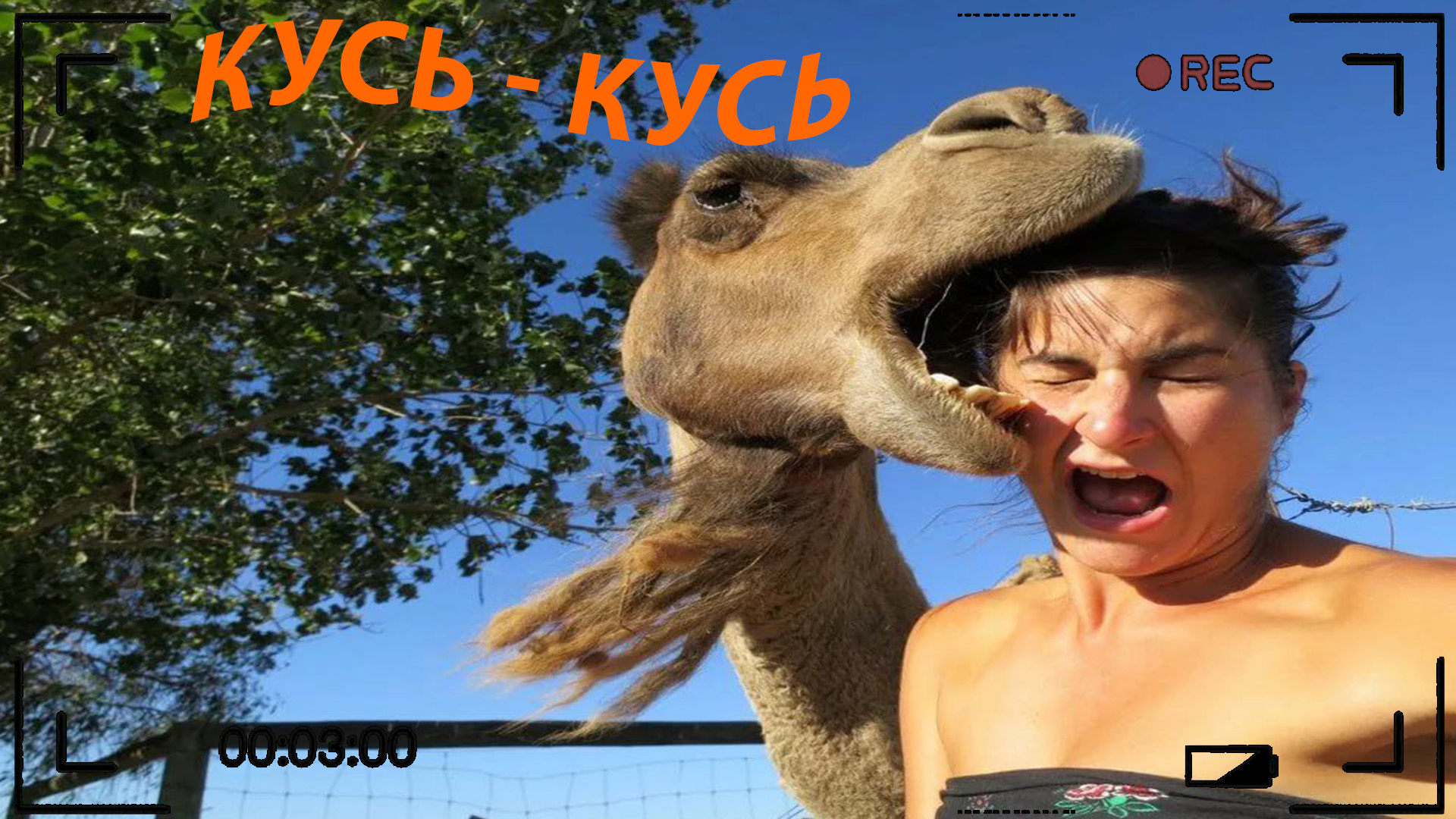 ПОПРОБУЙ НЕ ЗАСМЕЯТЬСЯ, 999% ПРОИГРАЮТ / 305 СЕКУНД СМЕХА | ПОДБОРКА ПРИКОЛОВ / СМЕШНЫЕ ВИДЕО 2023 смотреть онлайн