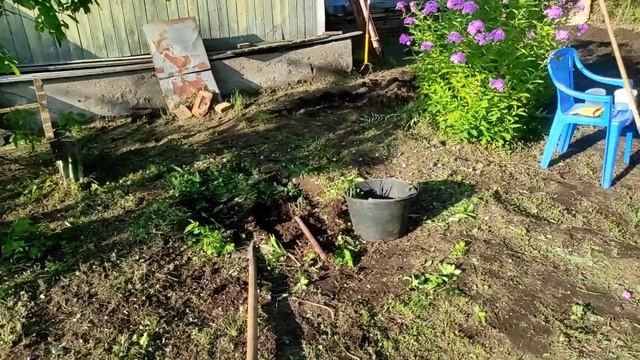 26.07.22.Дача.. подготовка к посеву газона.. смотреть онлайн