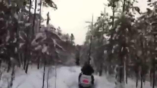 Snowmobile ride in the deep Siberian forest. На снегоходах по тайге смотреть онлайн