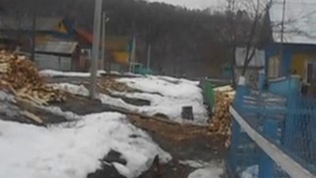 сердитый лай собаки смотреть онлайн