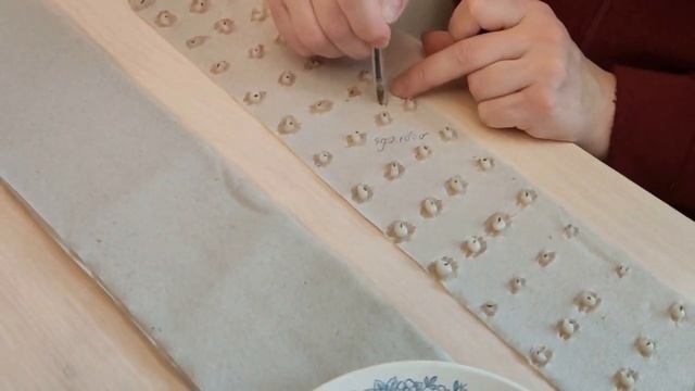 Семена для посадки на туалетной бумаге. Выращивание морковки без перекапывания и прополки.Начало. смотреть онлайн