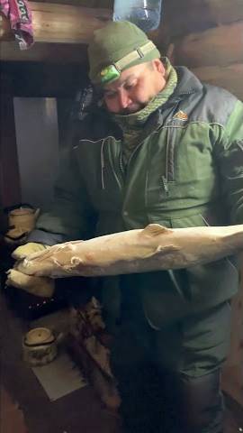 Огромная мороженная щука попалась на Ямале смотреть онлайн