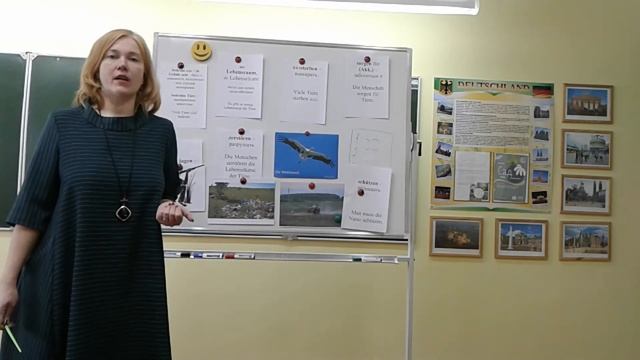 Видеоурок немецкого языка. 6 класс. Красная книга в Беларуси и Германии/Rote Liste смотреть онлайн