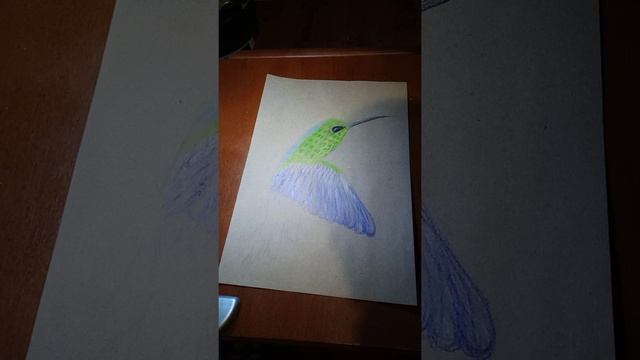 Как нарисовать колибри цветными карандашами ? смотреть онлайн