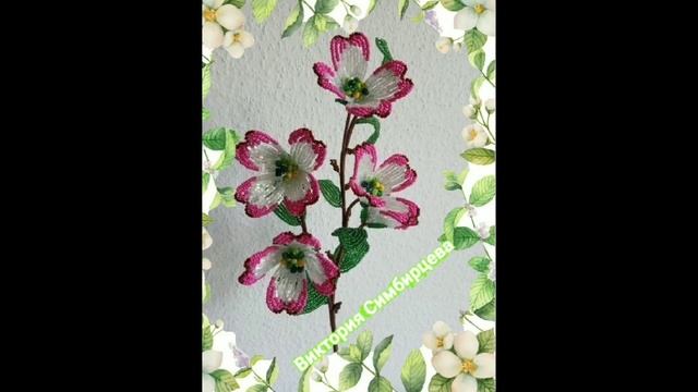 Кизил/Dogwood Tree ГАЛЛЕРЕЯ РАБОТ С СОВМЕСТНОГО ПЛЕТЕНИЯ ПОД РУКОВОДСТВОМ ВИКТОРИИ Koshka2015