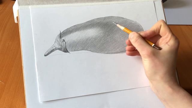 Рисунок.Баклажан смотреть онлайн