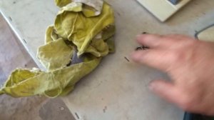 Промывка форсунок Hyundai Accent