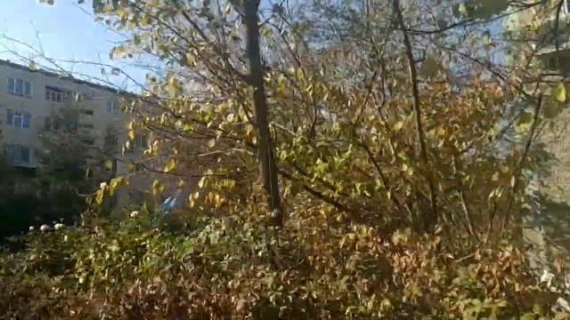 Fergana.  ВАТНАЯ   напротив