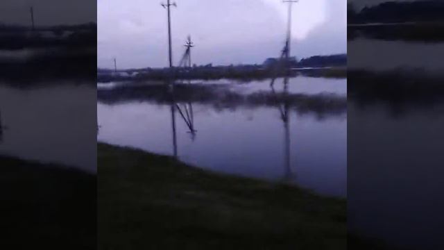 Поля как моря смотреть онлайн