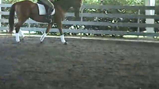 Heather Walters And Maxine In Ralph Hill Lesson