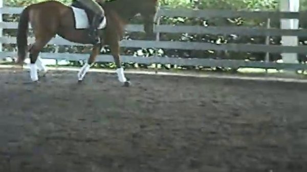 Heather Walters and Maxine in Ralph Hill Lesson