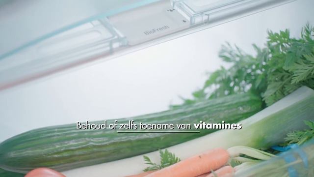Секция BioFresh от Liebherr смотреть онлайн