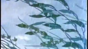 Чтение сказок-мульфильмов В. Г. СУТЕЕВА "Кто сказал мяу?" и просмотр мультфильма"Грибок-теремок".