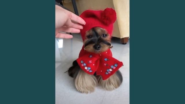 слава богу мне бог дал хороший вкус шоб цвета оттенки совпадали ... смотреть онлайн