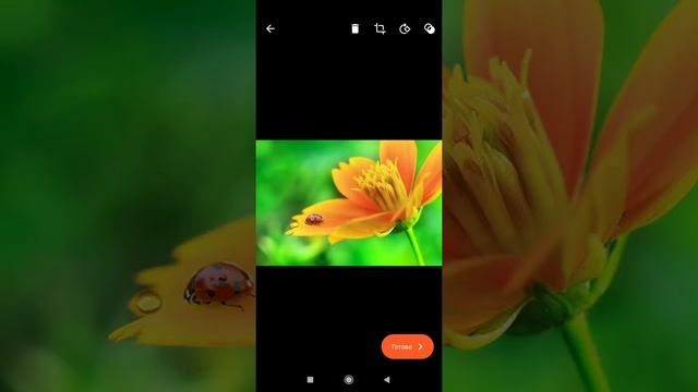 как вставить фото в ворд на телефоне смотреть онлайн