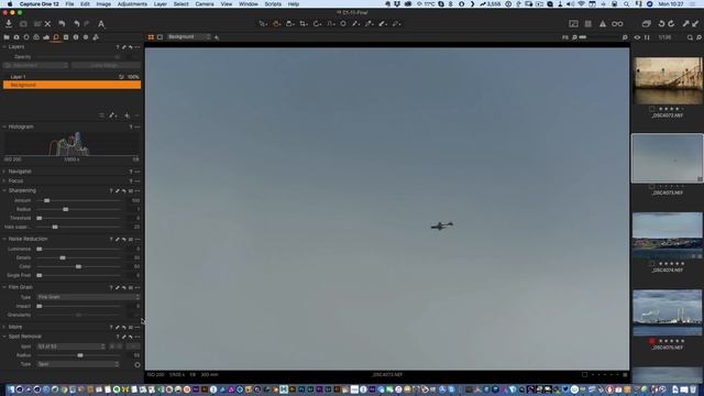 Dust and Spot Removal in Capture One Pro смотреть онлайн