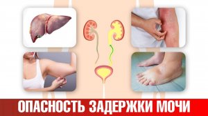 Задержка мочи опасна для здоровья! 📢 Решить проблему можно.