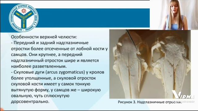 Установление половой принадлежности кроликов по морфологическим особенностям черепа смотреть онлайн