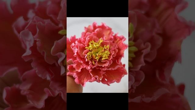 Building a cake business bakery #shorts #bakingshorts #cakedecorating #cakeshorts #motivationshort смотреть онлайн