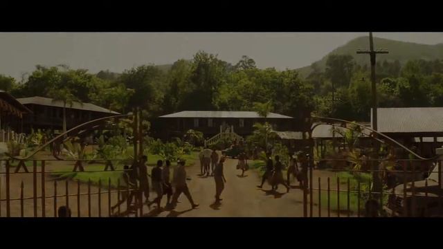 Пальмы в снегу 2015