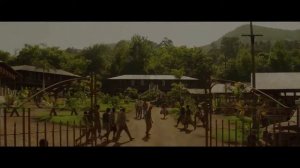 Пальмы в снегу 2015