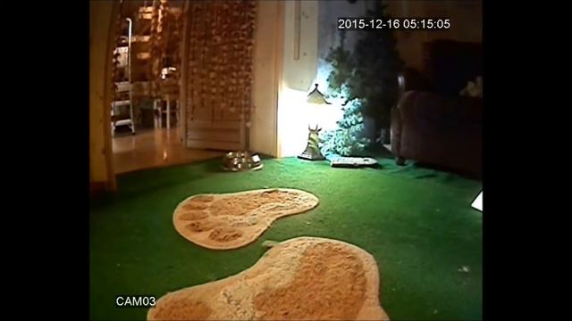 спите спокойно, жители Багдада, в Багдаде все спокойно... смотреть онлайн