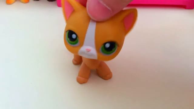 LPS:~ВСЕ МОИ LPS из ПОПУЛЯРА~Brook,Savvy,Seadh,Tom.