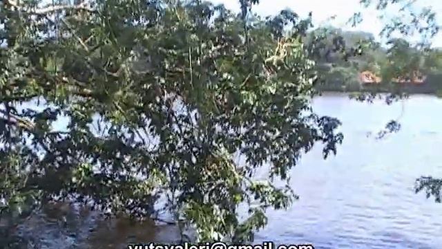 Отель Manatus,Тортугеро,Коста Рика смотреть онлайн