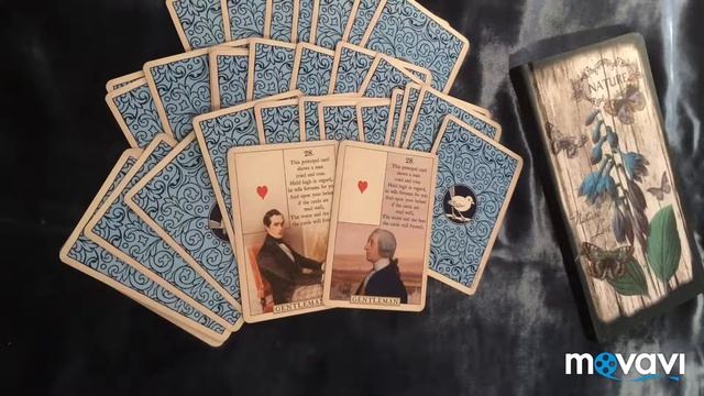 Blue bird Lenormand/голубая птица Ленорман. Таро, оракул. Перевод. Мужчина смотреть онлайн