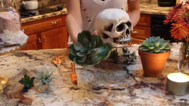 DIY Succulent Skull смотреть онлайн