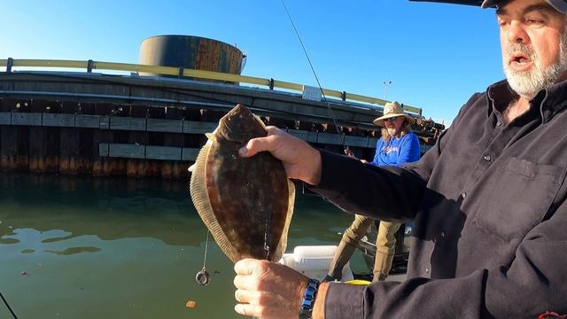 ** Exclusive Footage ** Flounder Flounder Bonus Flounder смотреть онлайн