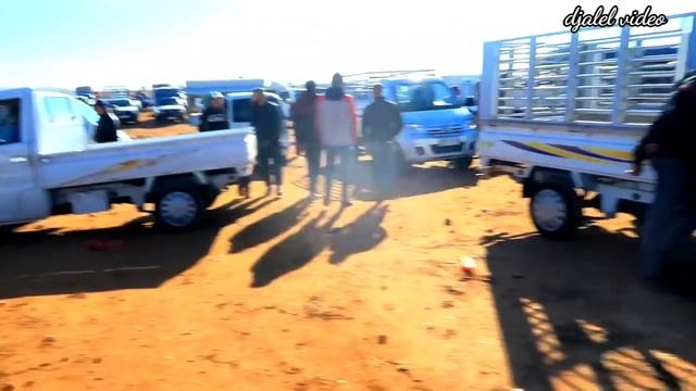 اسعار هاربينات dfm dfsk gonow faw hafei وشيري yoki من سوق بير وناس смотреть онлайн