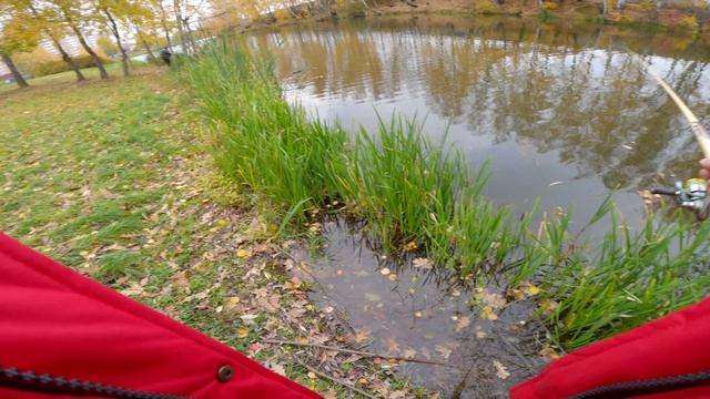 Ловля ротана в середине осени. Закрыли сезон ротаннинга. смотреть онлайн