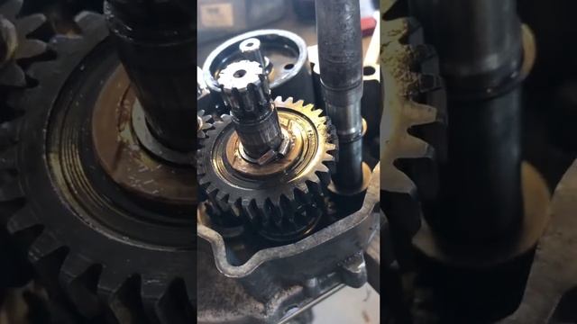 Puch Monza & Grandprix Motor Renovering