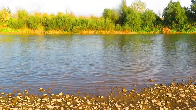 Reka Velika Morava - Great  Morava River