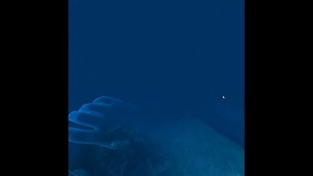 Ocean Rift on Quest 2 смотреть онлайн