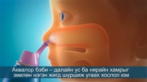 Аквалор Беби – хүүхдийн хамрын цацлаг