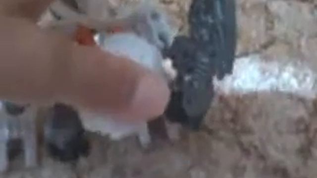 Биониклы.Белый бионикл. смотреть онлайн