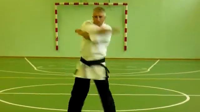 Технические ката в каратэ кай до джитсу -7 смотреть онлайн