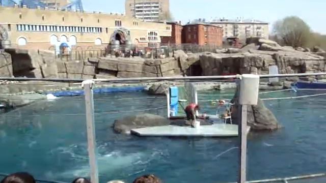 Белуха смотреть онлайн