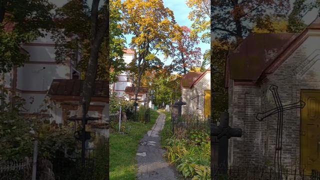 Исторические артефакты Минского Кальварийского кладбища смотреть онлайн