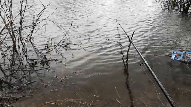 ВЕСЕННЯЯ РЫБАЛКА в АСТРАХАНИ начало хода Воды. смотреть онлайн