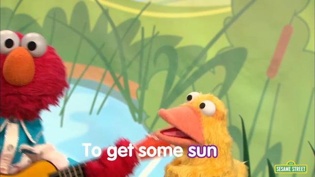 Sesame Street: Elmo's Ducks Lyric Video | Elmo's Sing Along Series