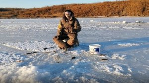Зимняя рыбалка на камбалу и навагу. Рыбалка в Тавричанке. Море рыбы. Бешенный клёв. Поймал ведро.