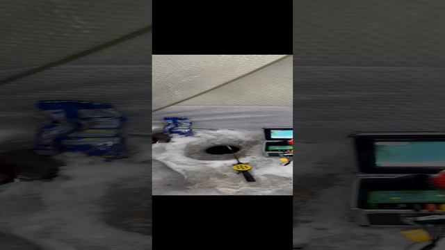 Ночная рыбалка  в -15 на Финском заливе#зимняярыбалка#плотва#палатка#кронштадт